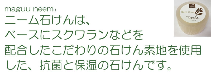 ニーム石けん